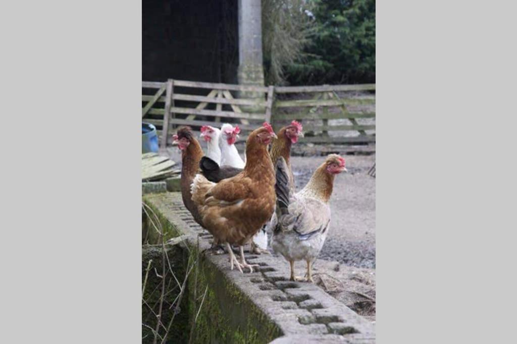 Stones Cottage Farm, Nr Haworth, Family Friendly, Work Friendly, Gaming Barn, Crafting, Free Wifi, Free Parking, Ev Point Oxenhope Exteriér fotografie