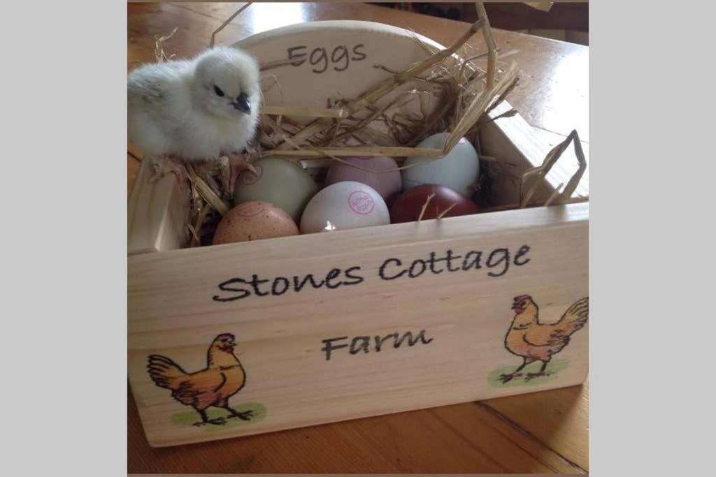 Stones Cottage Farm, Nr Haworth, Family Friendly, Work Friendly, Gaming Barn, Crafting, Free Wifi, Free Parking, Ev Point Oxenhope Exteriér fotografie